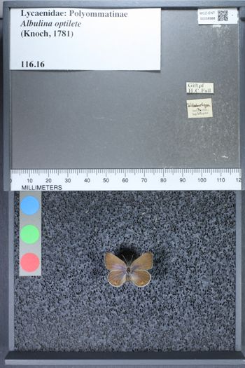 Media type: image;   Entomology 58568